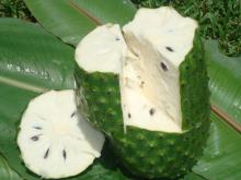 Soursop, Guanabana,  Graviola 