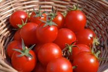 Fresh Red tomato