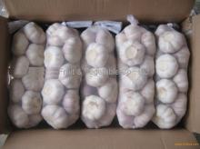 hot sale pure white garlic