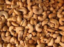 Raw Cashew nuts