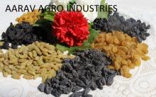 Golden Raisins, Black Raisins, Green Raisins, Currants, Dark Raisins, All Types of Raisins