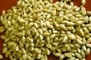 Grains and Wheat Flour