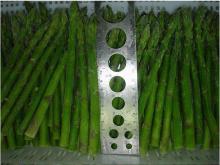  IQF   asparagus (green)