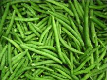  IQF   green   bean s