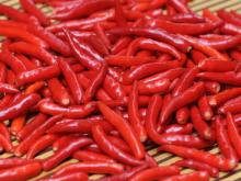  IQF   chilli 