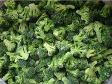 IQF broccoli