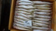 frozen lady fish