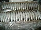 Frozen silver fish