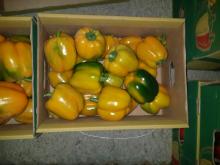  Fresh   Capsicum 