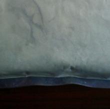  Kelp  powder