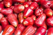 Fresh  Red  Rose Apple Fruit