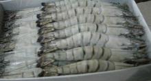 Frozen Shrimp and Seafood