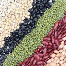 Black Beans