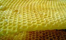 Bee  Wax 