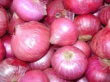 Fresh onions