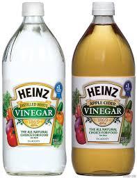 Vinegar