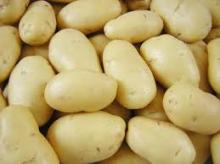 Potatoes for sale