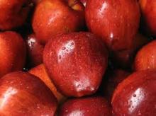 Fresh Top Red Apple for sale