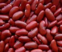Red kidney Beans for sale