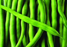 Frozen String Beans