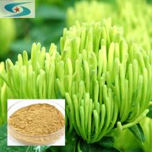 Chlorogenic acid