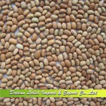 New Crop Chinese Pink Cowpeas,Vigna Beans 2014 Crop