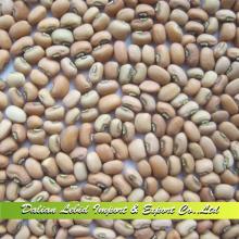 Pink Dry Cowpeas New Chinese Beans 2014 Crop