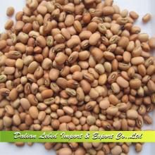 Cooking Cowpeas 2014 Crop On Sale