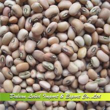 Cowpeas Dried 2014 New Crop