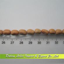 Cowpeas China Origin Products Good Quality Hot Sale 2014 Crop