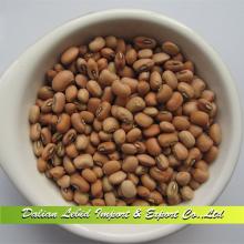 Dry Beans Chinese Cowpeas High Quality