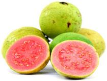 Aseptic  Guava   Pulp 