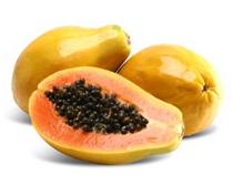 Aseptic Papaya Pulp
