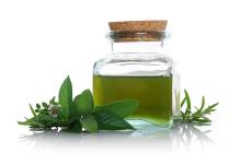  Peppermint  Oil