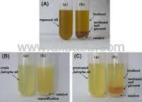  kiwi   seed s oil