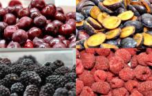 IQF Fruits