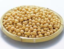 SOY OLIGOSACCHARIDE