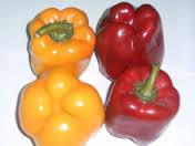 Fresh Pepper