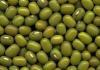 mung green bean