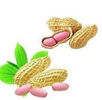 Luteolin