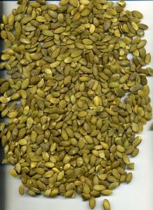 snow white pumpkindseed kernel grade aa