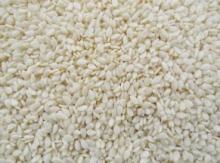 Sesame Seeds