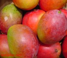 Fresh  Mango 