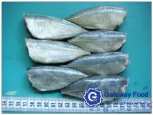 Frozen Horse Mackerel HGT,HG (Trachurus japonicas)
