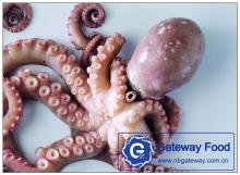 Frozen  Octopus  ( Octopus   Vulgaris )