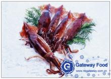 Frozen  Illex  Squids( Illex   Argentinus )