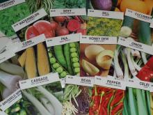 Vegetable Seeds