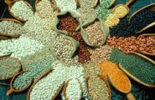 cocoa Beans,Coffee Beans,White Beans,Black Beans,Sparkle Beans,Soya Beans,French Beans,Mung Beans,K