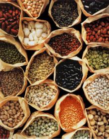 Beans ,Cereals,Nuts,Pseudocereals,Nut-like Gymnosperm Seeds