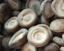  Frozen   Shiitake  whole